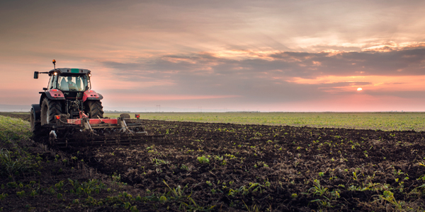 Farm Labor