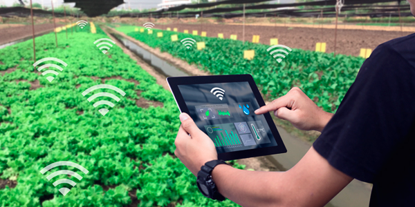 Person using a tablet to control garden features